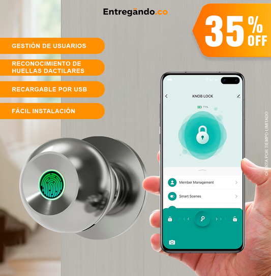 Cerradura de puerta Inteligente