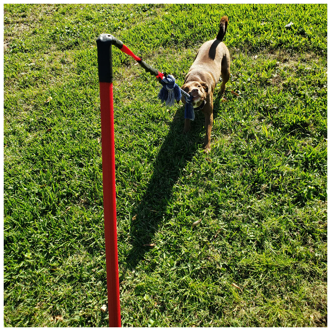 ActiCan® / Jueguete de Halar Para Perros FLIRT POLE