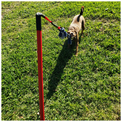 ActiCan® / Jueguete de Halar Para Perros FLIRT POLE