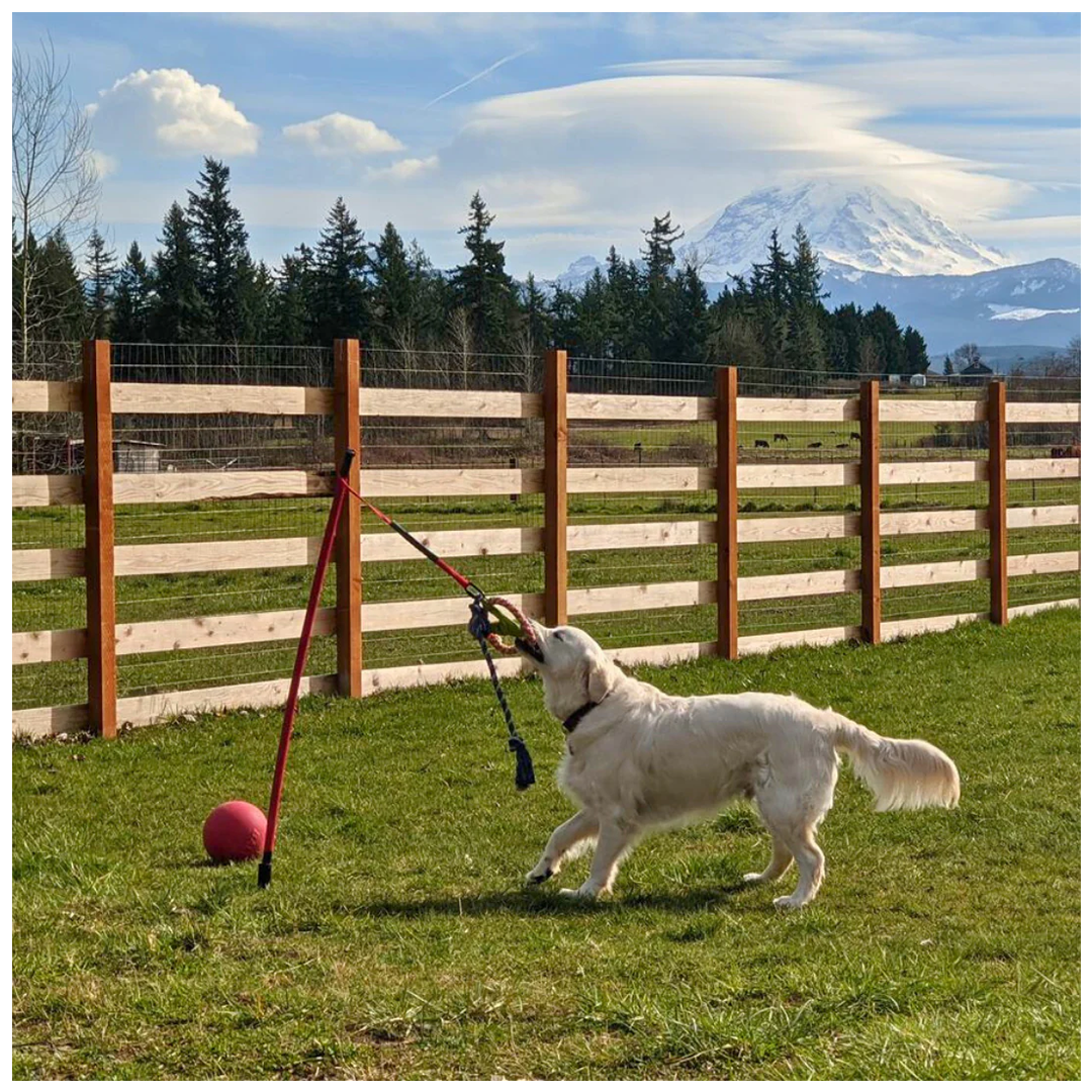 ActiCan® / Jueguete de Halar Para Perros FLIRT POLE