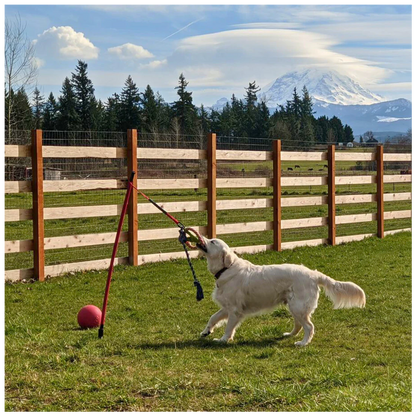 ActiCan® / Jueguete de Halar Para Perros FLIRT POLE